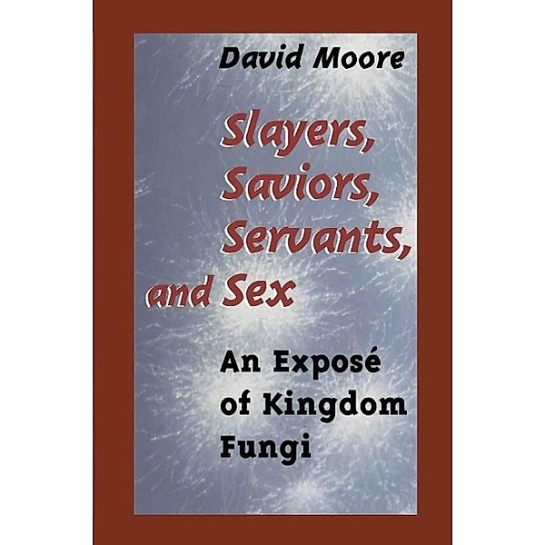 Slayers, Saviors, Servants and Sex, David Moore