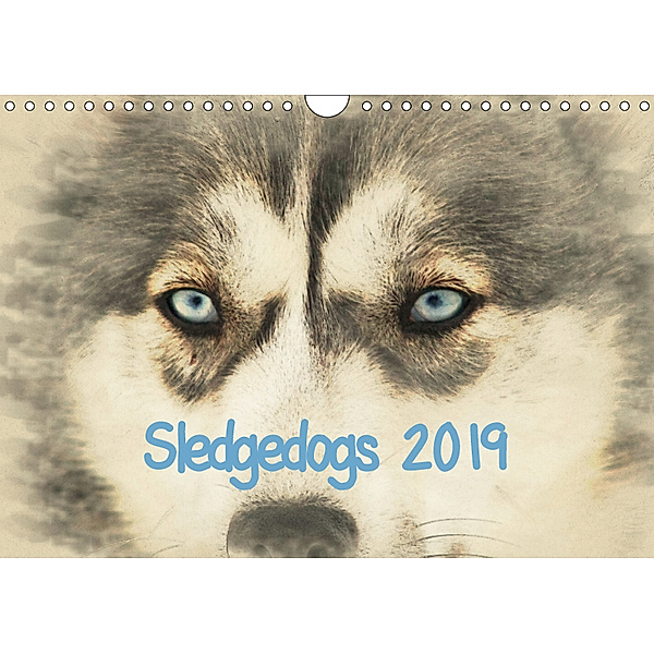 Sledgedogs 2019 / UK-Version (Wall Calendar 2019 DIN A4 Landscape), Andrea Redecker