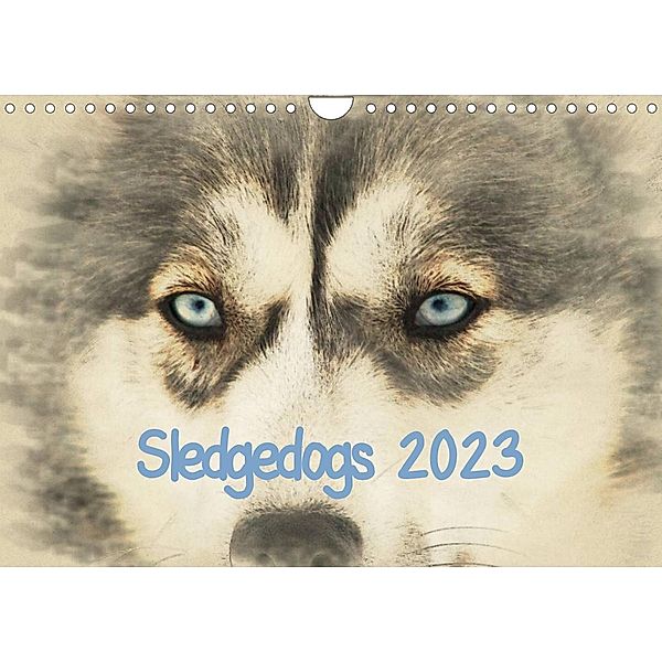 Sledgedogs 2023 / UK-Version (Wall Calendar 2023 DIN A4 Landscape), Andrea Redecker