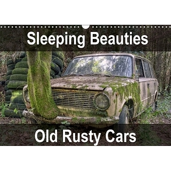 Sleeping Beauties Old Rusty Cars (Wall Calendar 2017 DIN A3 Landscape), Carina Buchspies