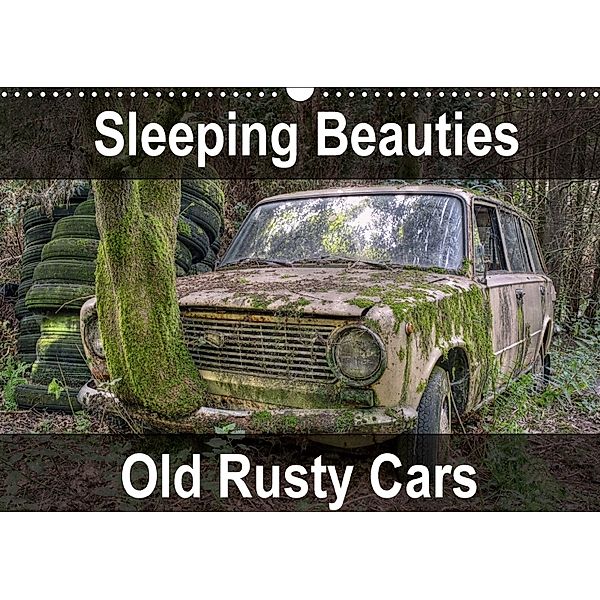 Sleeping Beauties Old Rusty Cars (Wall Calendar 2018 DIN A3 Landscape), Carina Buchspies