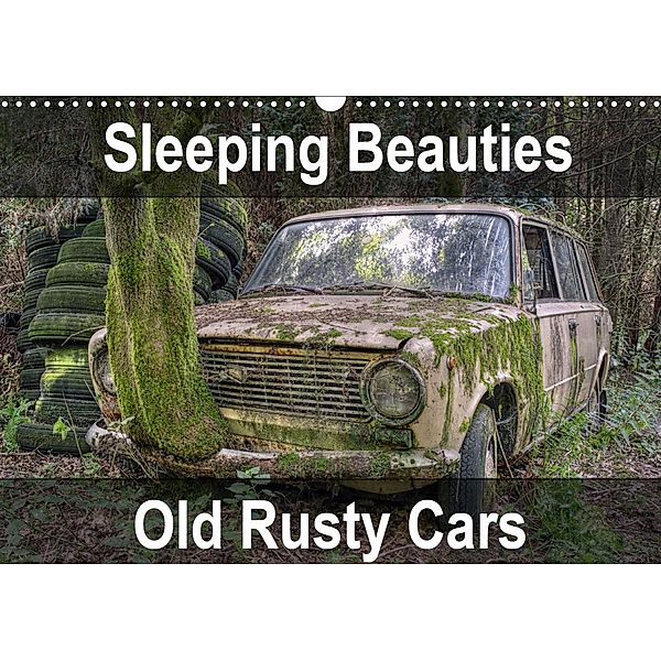 Sleeping Beauties Old Rusty Cars (Wall Calendar 2021 DIN A3 Landscape), Carina Buchspies