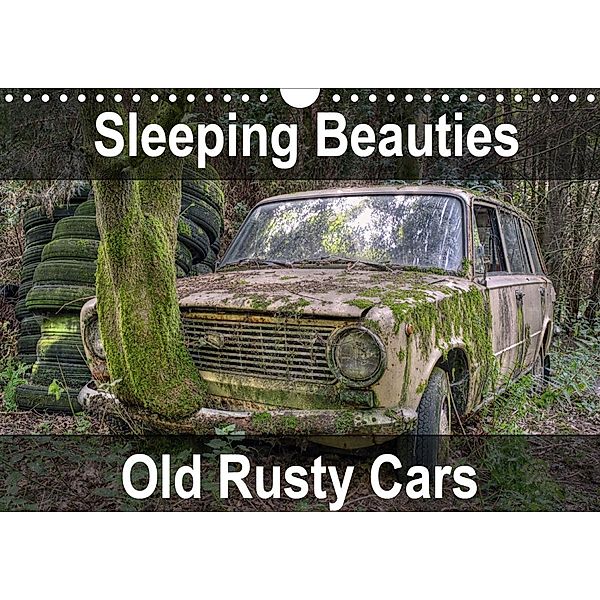 Sleeping Beauties Old Rusty Cars (Wall Calendar 2021 DIN A4 Landscape), Carina Buchspies