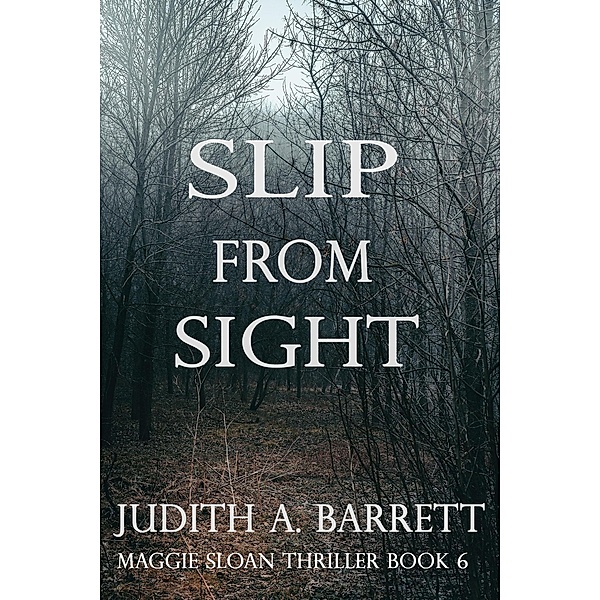 Slip from Sight (Maggie Sloan Thriller, #6) / Maggie Sloan Thriller, Judith A. Barrett