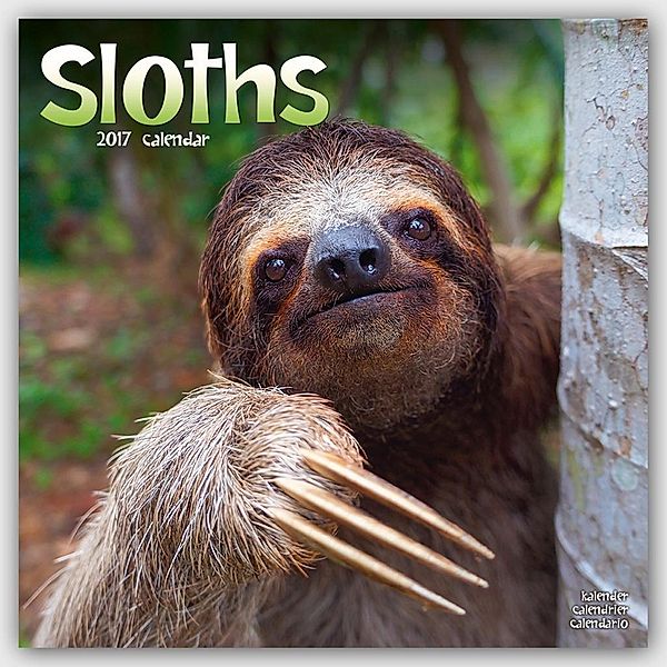 Sloths 2017, Avonside Publishing Ltd.