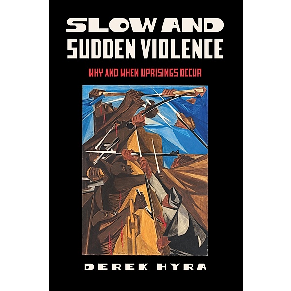 Slow and Sudden Violence, Derek Hyra