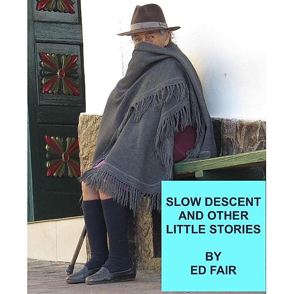 Slow Descent and Other Little Stories, Ed Fair