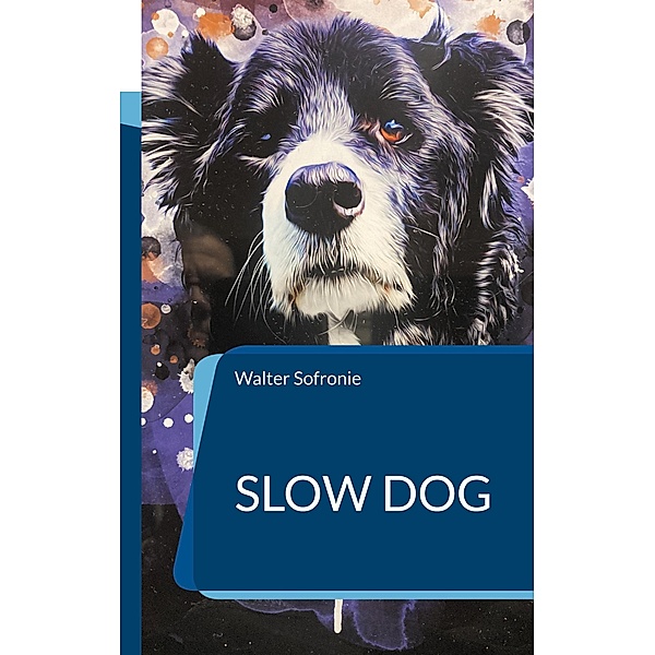 Slow Dog, Walter Sofronie