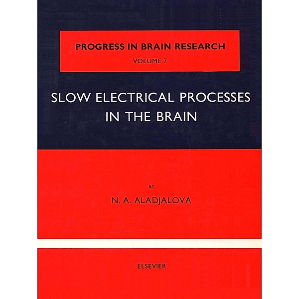 Slow Electrical Processes in the Brain
