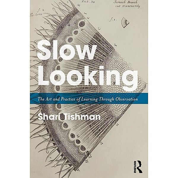 Slow Looking, Shari Tishman