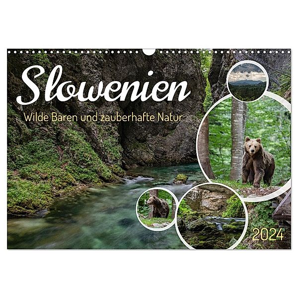 Slowenien - Wilde Bären und zauberhafte Natur (Wandkalender 2024 DIN A3 quer), CALVENDO Monatskalender, Robin Müller