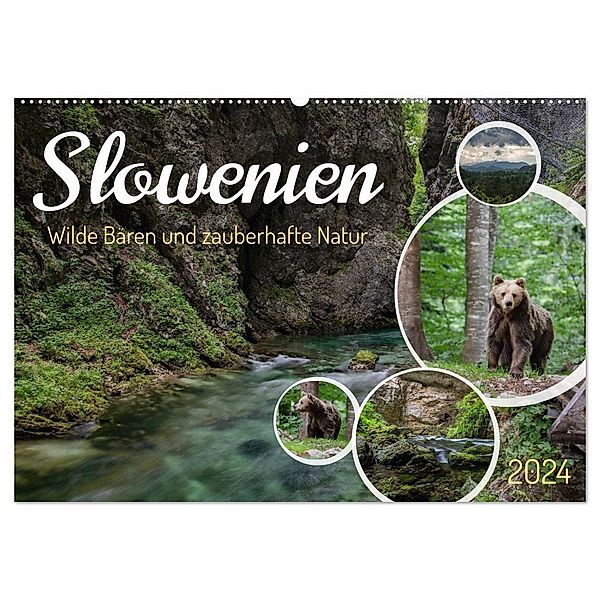 Slowenien - Wilde Bären und zauberhafte Natur (Wandkalender 2024 DIN A2 quer), CALVENDO Monatskalender, Robin Müller