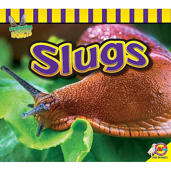 Slugs, John Willis