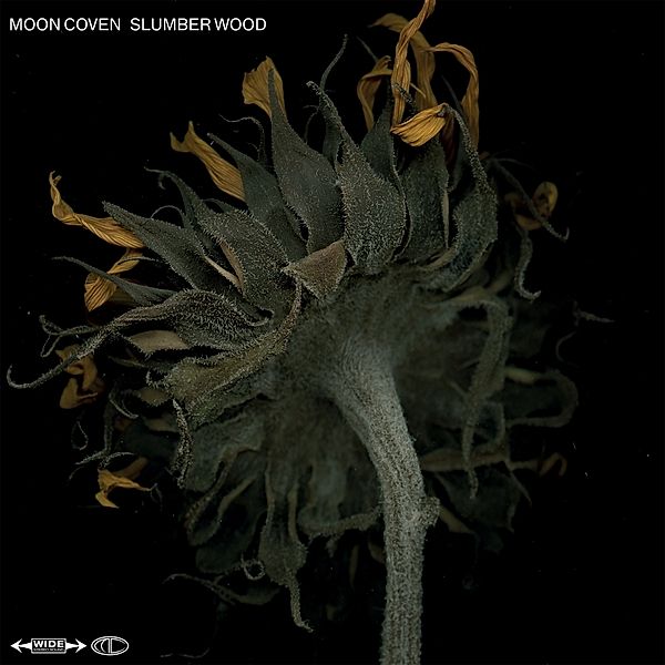 Slumber Wood, Moon Coven