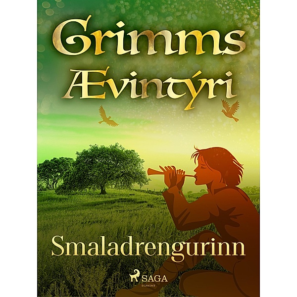Smaladrengurinn / Grimmsævintýri Bd.12, Grimmsbræður