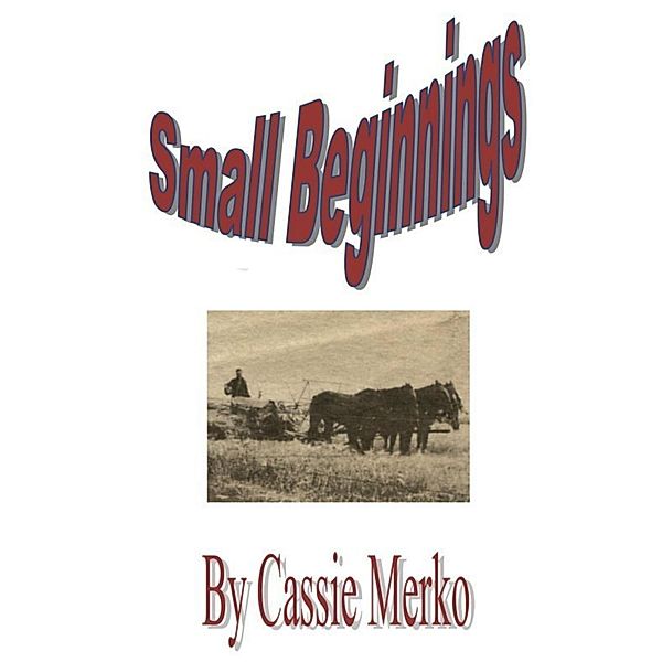 Small Beginnings, Cassie Merko