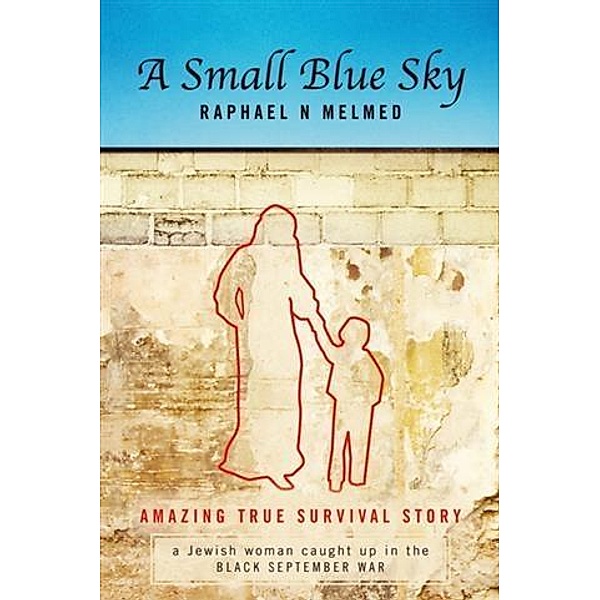 Small Blue Sky, Raphael N Melmed