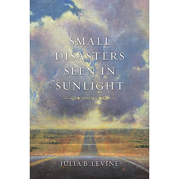 Small Disasters Seen in Sunlight / Barataria Poetry, Julia B. Levine