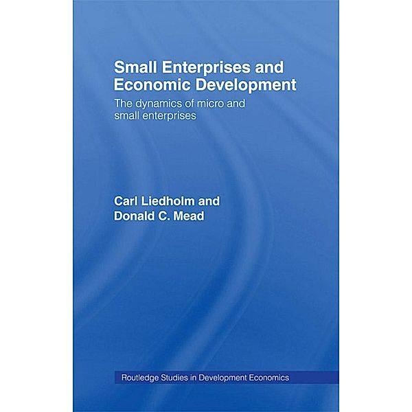 Small Enterprises and Economic Development / Routledge Studies in Development Economics, Carl E. Liedholm, Donald C. Mead