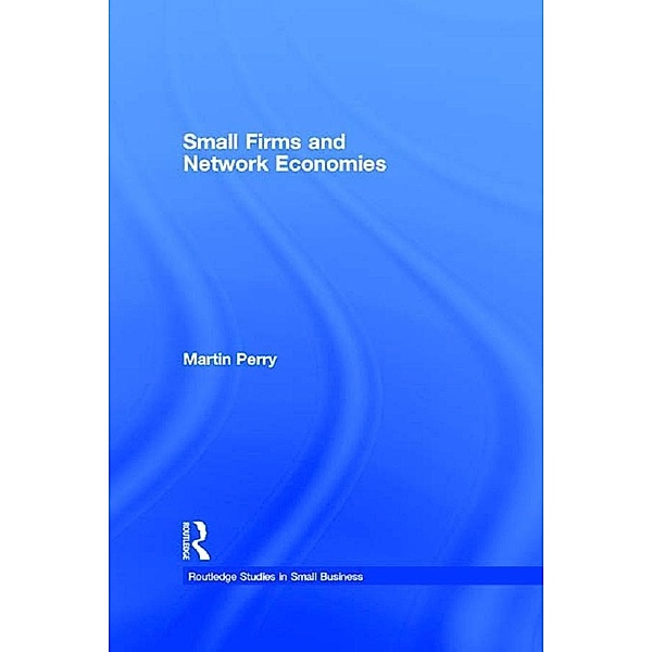 Small Firms and Network Economies, Martin Perry