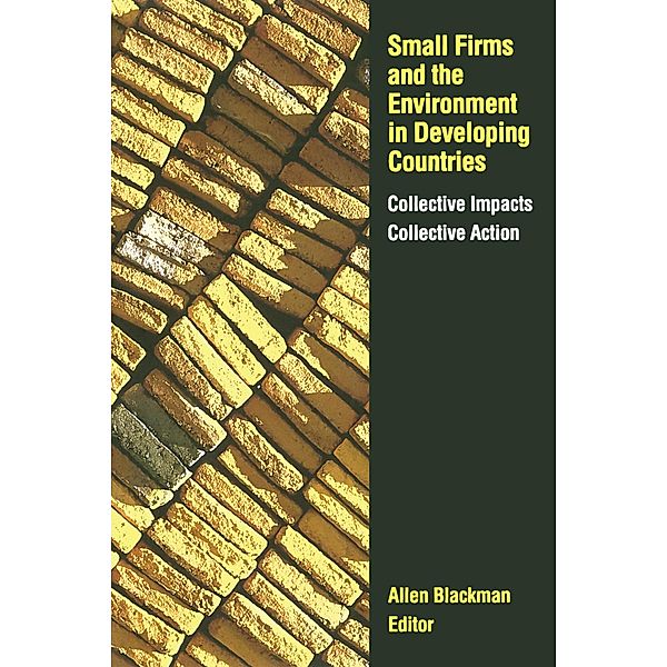 Small Firms and the Environment in Developing Countries