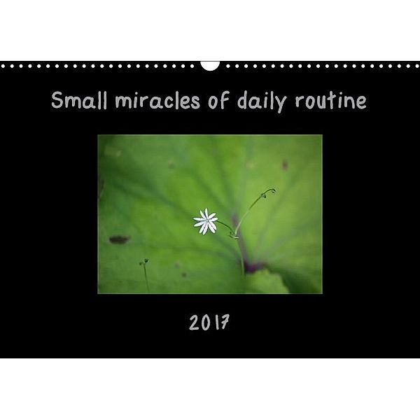 Small miracles of daily routine (Wall Calendar 2017 DIN A3 Landscape), Eurika Balsyte-Ojakoski