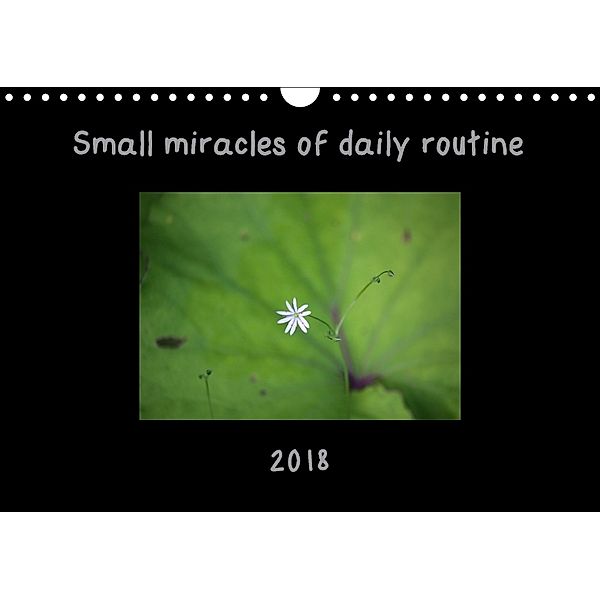Small miracles of daily routine (Wall Calendar 2018 DIN A4 Landscape), Eurika Balsyte-Ojakoski