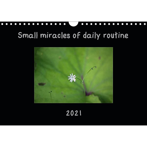 Small miracles of daily routine (Wall Calendar 2021 DIN A4 Landscape), Eurika Balsyte-Ojakoski
