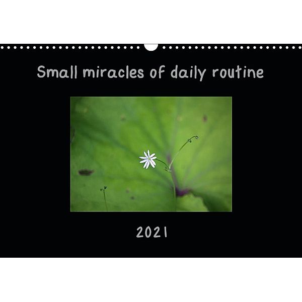 Small miracles of daily routine (Wall Calendar 2021 DIN A3 Landscape), Eurika Balsyte-Ojakoski