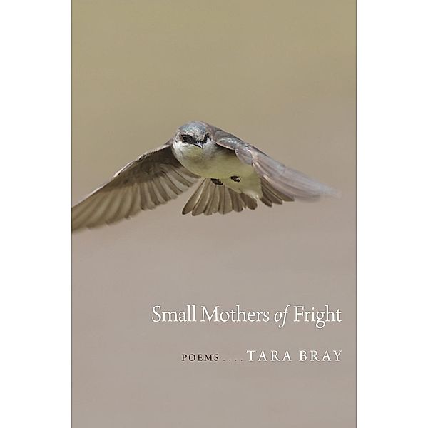 Small Mothers of Fright / Goat Island Poetry, Tara Bray