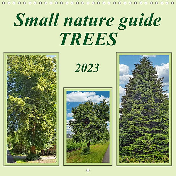 Small nature guide TREES (Wall Calendar 2023 300 × 300 mm Square), Claudia Kleemann