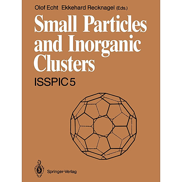 Small Particles and Inorganic Clusters