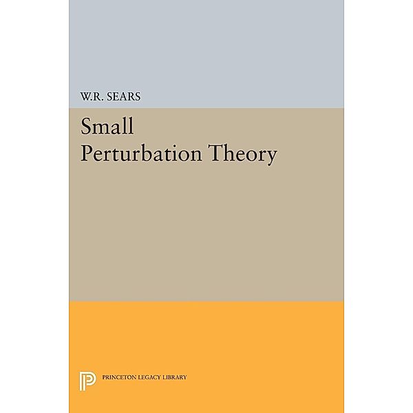 Small Perturbation Theory / Princeton Legacy Library Bd.2349, William Rees Sears