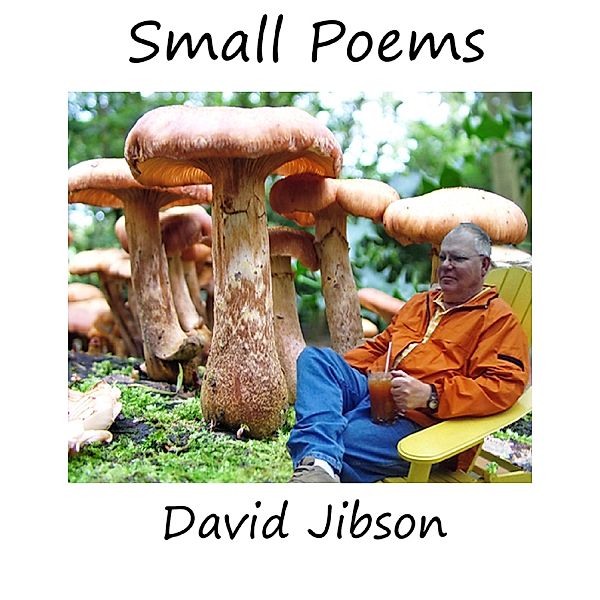 Small Poems, David Jibson