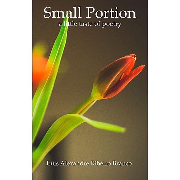 Small Portion, Luis A R Branco