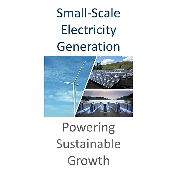 Small Scale Electricity Generation (Business Advice & Training, #5) / Business Advice & Training, MillionBusinessIdeas