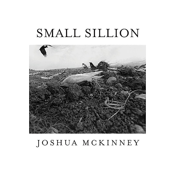 Small Sillion / Free Verse Editions, Joshua Mckinney