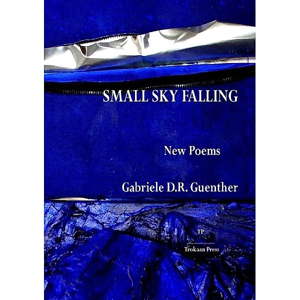 Small Sky Falling, Gabriele D.R. Guenther