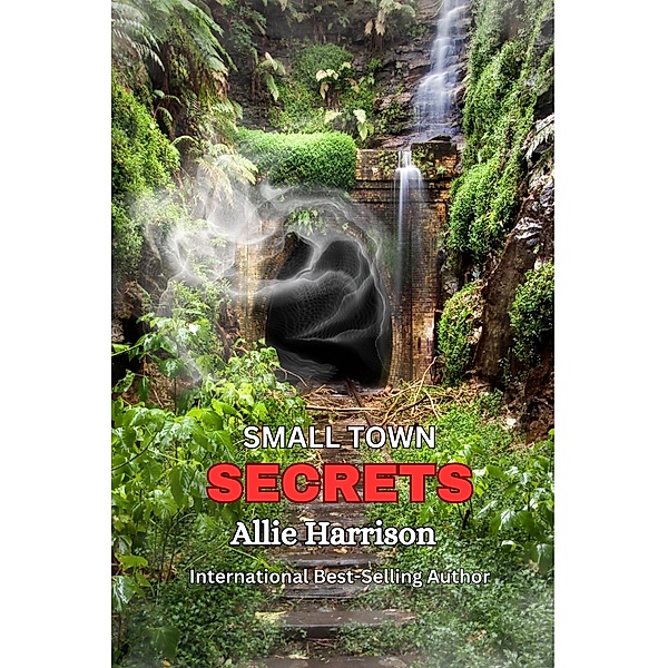 Small Town Secrets, Allie Harrison