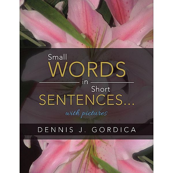 Small Words in Short Sentences...With Pictures, Dennis J. Gordica