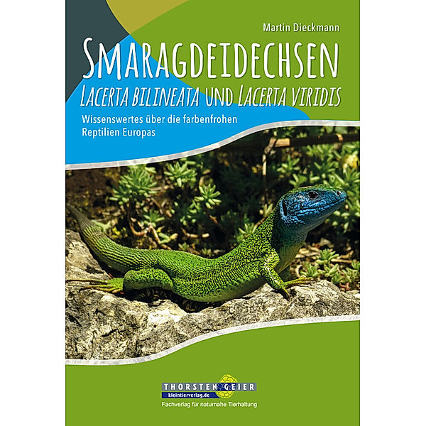 Smaragdeidechsen Lacerta bilineata und Lacerta viridis, Martin Dieckmann
