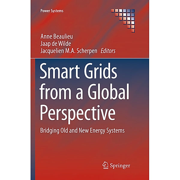 Smart Grids from a Global Perspective