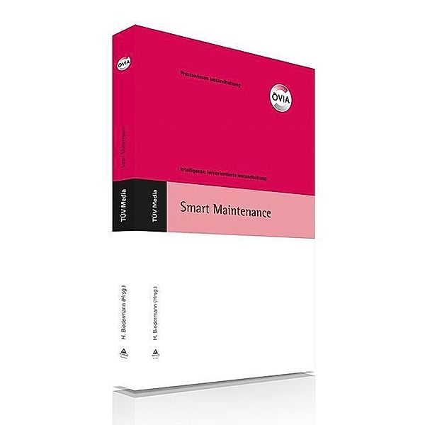Smart Maintenance (E-Book, PDF)