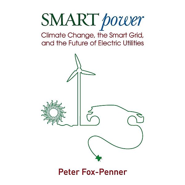 Smart Power, Peter Fox-Penner