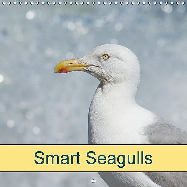 Smart Seagulls (Wall Calendar 2018 300 × 300 mm Square), kattobello