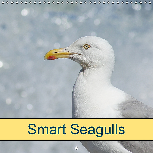 Smart Seagulls (Wall Calendar 2019 300 × 300 mm Square), kattobello