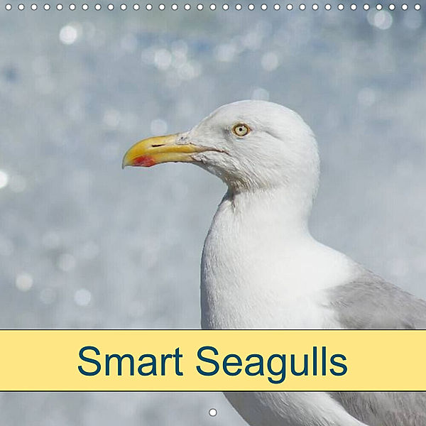 Smart Seagulls (Wall Calendar 2023 300 × 300 mm Square), Kattobello