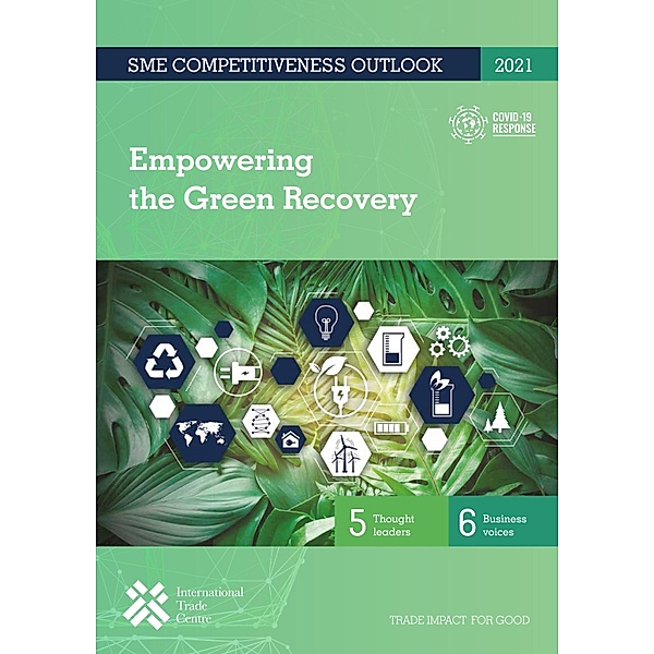 SME Competitiveness Outlook 2021 / SME Competitiveness Outlook