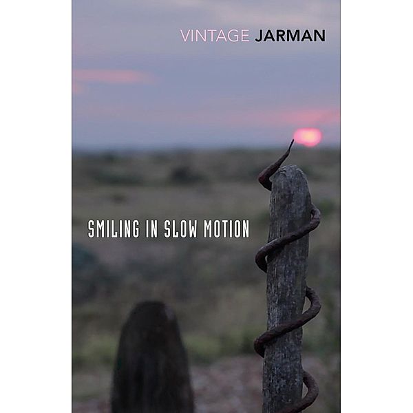 Smiling in Slow Motion / The Journals of Derek Jarman Bd.2, Derek Jarman
