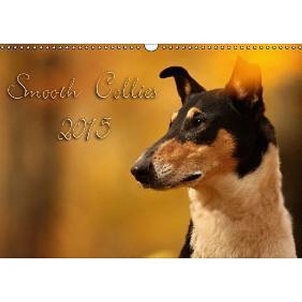 Smooth Collies 2015 (Wandkalender 2015 DIN A3 quer), Laura Längsfeld